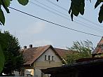 Třibřichy