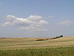 Dobromilice