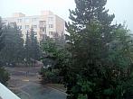 Borovina