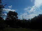 Borovina