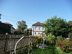 Třibřichy