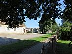 Třibřichy