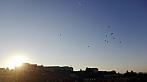 Brno - Bohunice