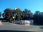 Borovina