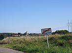 Třibřichy