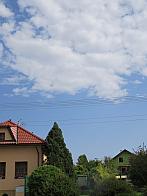 Třibřichy