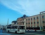 Borovina