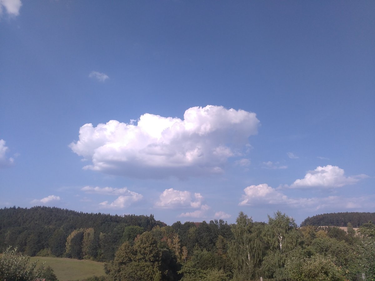 Zajíčkov