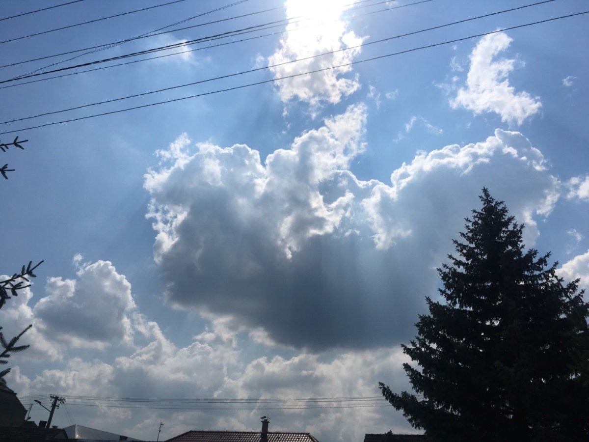 Dojč