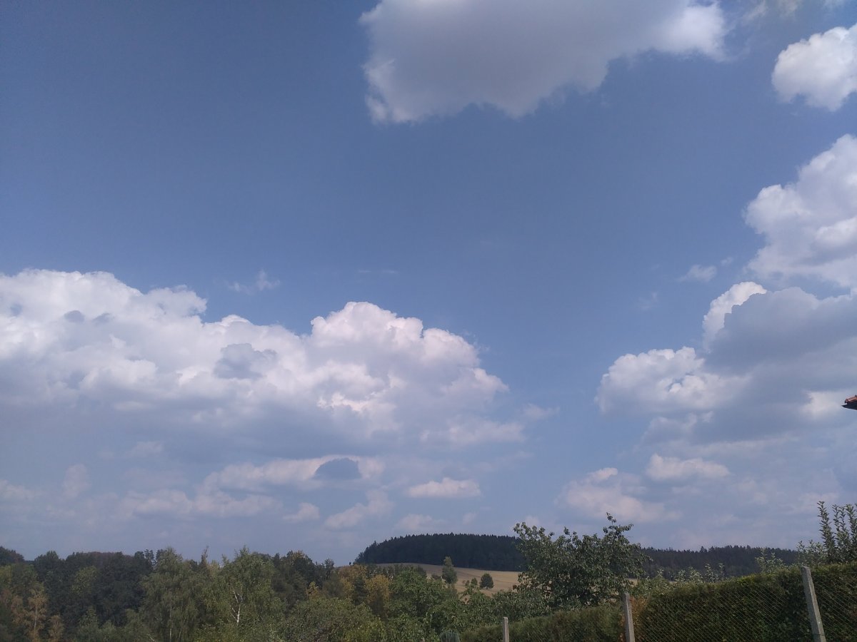 Zajíčkov