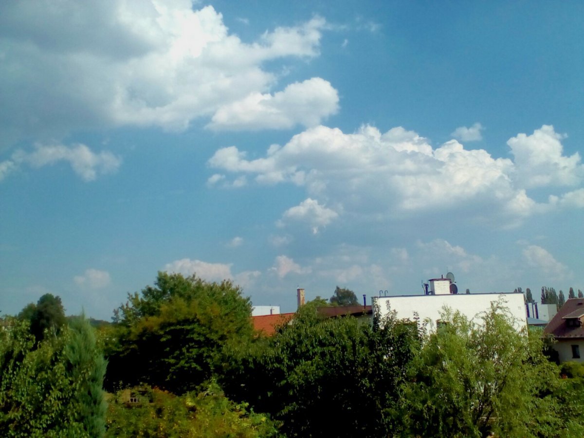 Hořice - Libonice