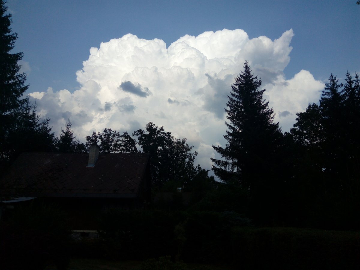 Nová Ves