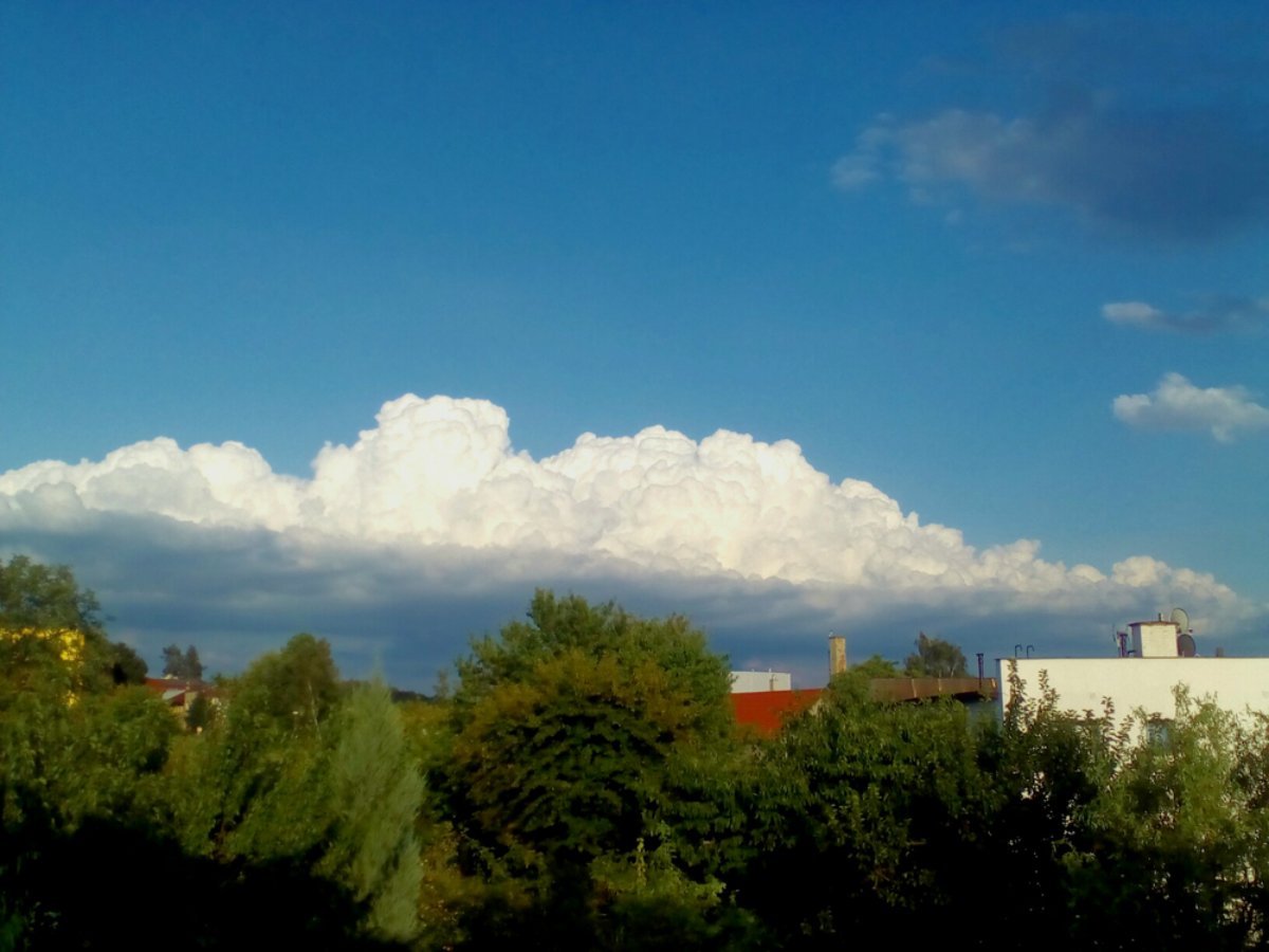 Hořice - Libonice