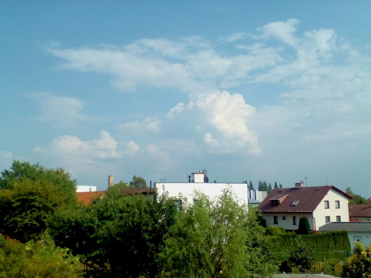 Hořice - Libonice