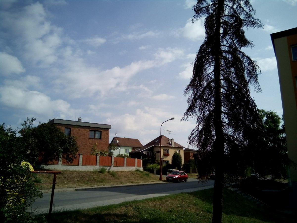 Borovina