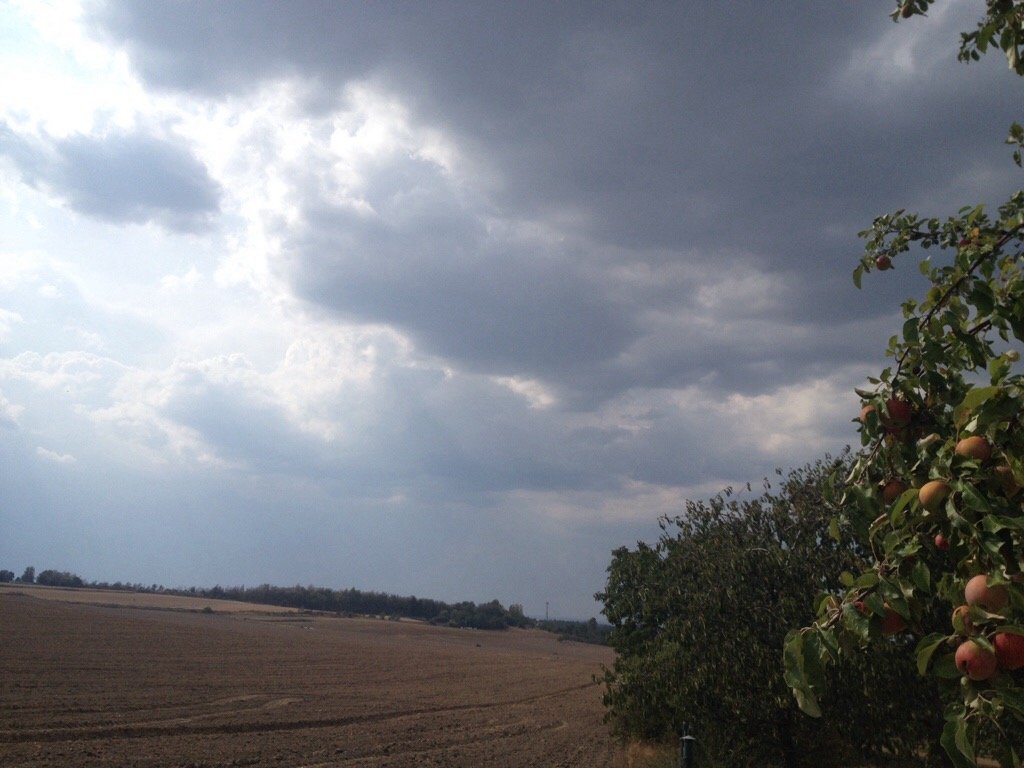 Skuteč