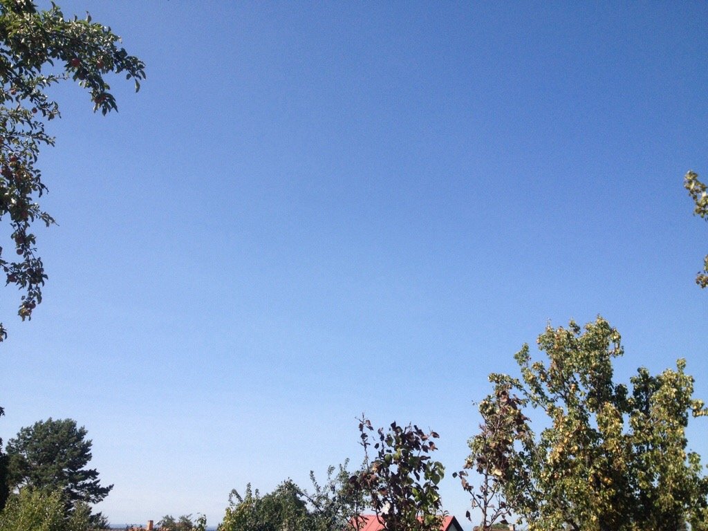 Skuteč