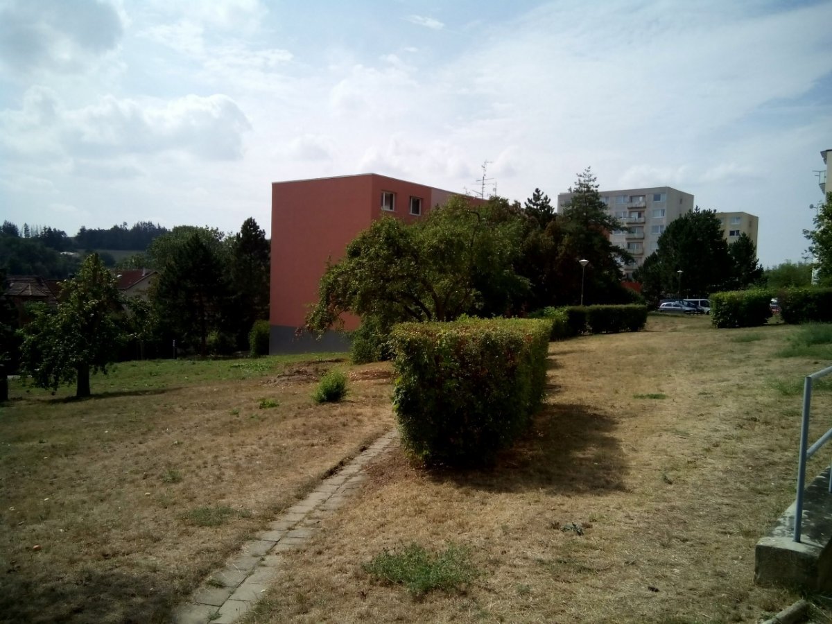 Borovina