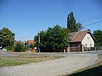 Třibřichy