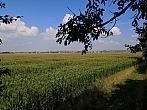 Císařov
