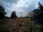 Borovina