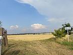 Třibřichy