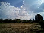 Borovina
