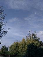 Vejvanovice