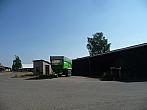 Třibřichy