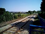 Borovina