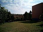Borovina