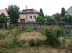 Třibřichy