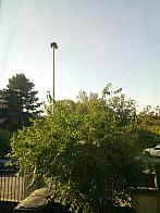 Praha