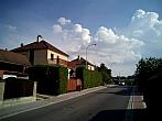 Borovina