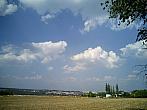 Borovina