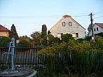 Třibřichy