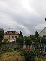 Třibřichy