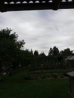 Fotografie