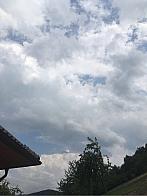 Jarcová
