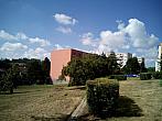 Borovina