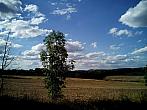 Borovina