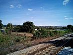 Borovina