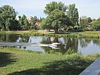 Neratovice