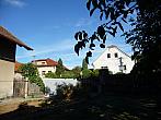 Třibřichy