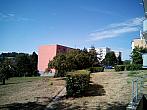Borovina