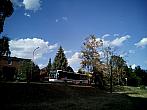 Borovina