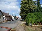 Třibřichy