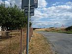 Třibřichy