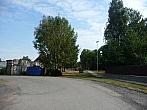 Třibřichy