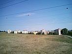 Borovina